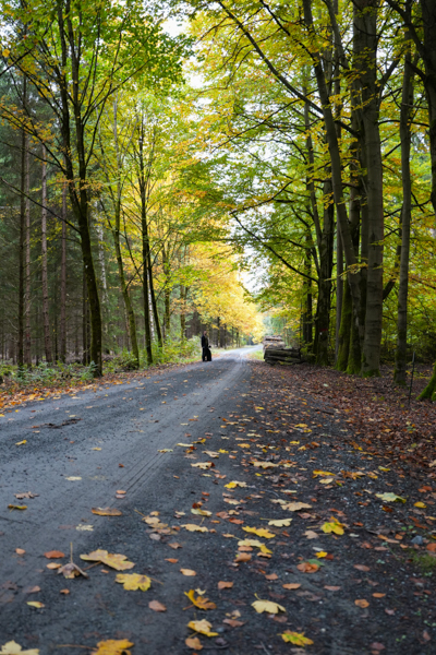 Route 15 Landhaus Adorf